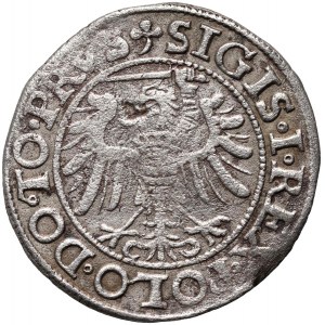 Sigismund I the Old, penny 1539, Elbląg