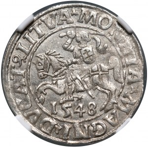 Sigismund II. Augustus, halber Pfennig 1548, Vilnius