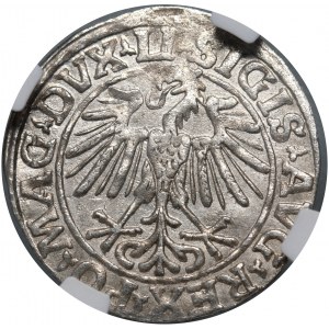 Sigismund II Augustus, half-penny 1548, Vilnius