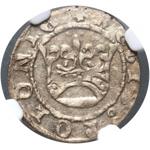 Sigismund I the Old, half-penny without date, Cracow