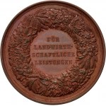 Nemecko, Prusko, Fridrich Viliam IV., medaila z roku 1845, Za zásluhy v poľnohospodárstve