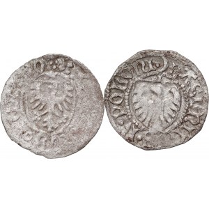 Kasimir IV. Jagiellone 1446-1492, Satz von 2 Scherben, Danzig