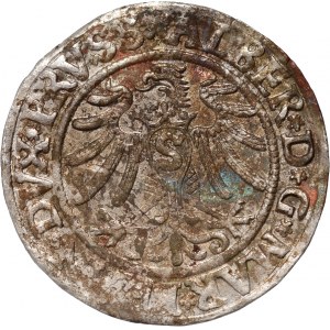 Knížecí Prusko, Albrecht Hohenzollern, penny 1532, Königsberg