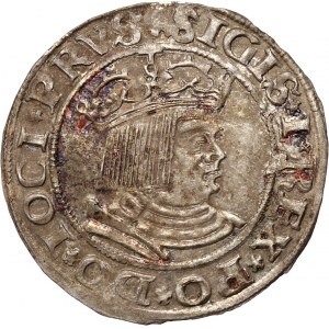 Žigmund I. Starý, penny 1530, Toruň