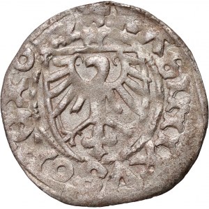 Kasimir IV. Jagiellone 1446-1492, Schilling, Danzig