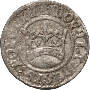 Alexander Jagiellonian 1501-1506, half-penny without date, Cracow