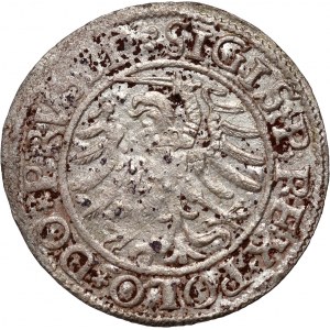 Žigmund I. Starý, šiling 1532, Elbląg