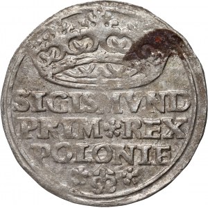 Sigismund I. der Alte, Pfennig 1528, Krakau