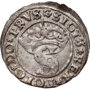 Sigismund I the Old, 1529 shekel, Torun