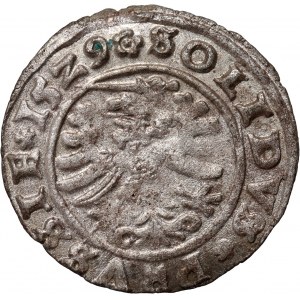 Sigismund I the Old, 1529 shekel, Torun