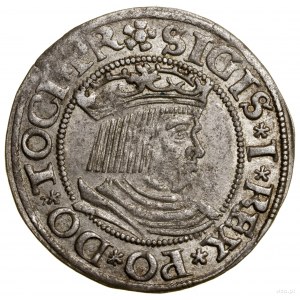 Grosz, 1531, Gdańsk; na awersie rozeta rozpoczyna legen...