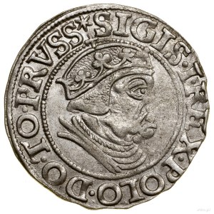 Grosz, 1538, Gdańsk; na awersie końcówka legendy PRVSS;...