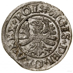 Sheląg, 1531, Danzig; Anfangszeichen: auf der Vorderseite der Rosetten....