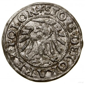 Sheląg, 1547, Danzig; auf der Vorderseite Legende POLON, Zeichen und...