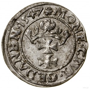 Sheląg, 1547, Gdansk; in the obverse legend POLON, signs and...