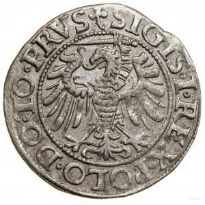 Grosz, 1539, Elbląg; miecz z prawej strony, w legendzie...
