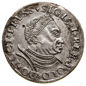 Trojak, 1530, Toruń; mała głowa króla w czepcu i zbroi,...