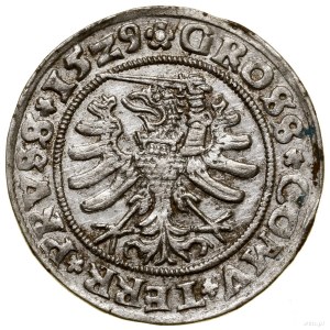 Grosz, 1529, Toruń; końcówki legend PRVS / PRVSS; Białk...
