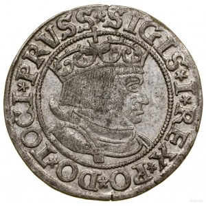 Grosz, 1533, Toruń; końcówki legend PRVSS / PRVSSIE; Bi...