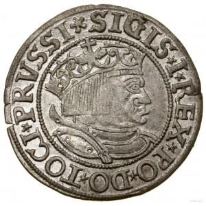 Grosz, 1533, Toruń; końcówki legend PRVSSI / PRVSSI; Bi...