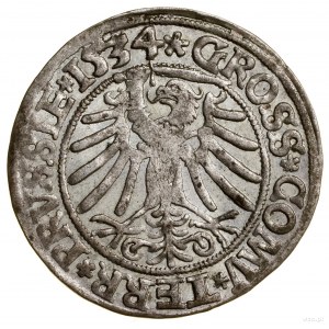 Grosz, 1534, Toruń; popiersie króla z długimi włosami, ...