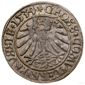 Grosz, 1534, Toruń; popiersie króla z długimi włosami, ...
