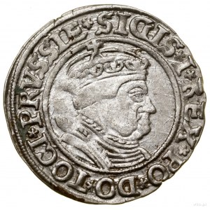 Penny, 1535, Toruň; koncovky legend PRVSSIE / PRVSSIE; ...
