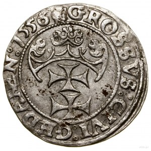 Grosz, 1556, Gdańsk; odmiana z małą głową króla, z jedn...