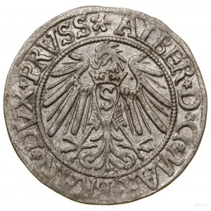 Grosz, 1539, Królewiec; końcówka legendy rewersu PRVSS,...