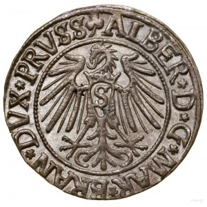 Grosz, 1541, Królewiec; końcowka legendy rewersu PRVSS,...
