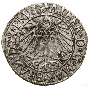 Grosz, 1544, Królewiec; długa broda księcia, końcówka l...