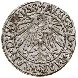 Grosz, 1545, Królewiec; książę z wysokim kołnierzem, ko...