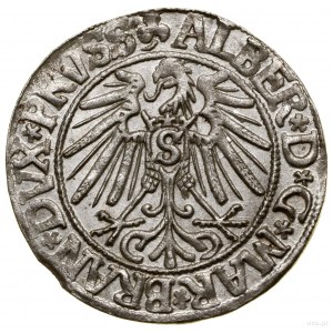 Pfennig, 1543 !, Königsberg; langer Bart des Prinzen, Spitze l...