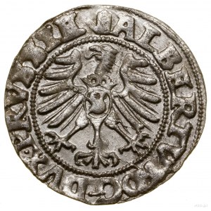 Szeląg, 1557, Królewiec; Kop. 3767 (R1), Slg. Marienbur...