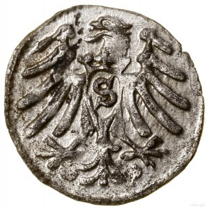 Denar, 1563, Królewiec; H-Cz. 6647 (R4), Kop. 3756 (R4)...
