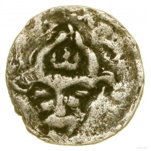 Denarius, (ca. 1360), Poznań (?); Av: Crowned bull's head....