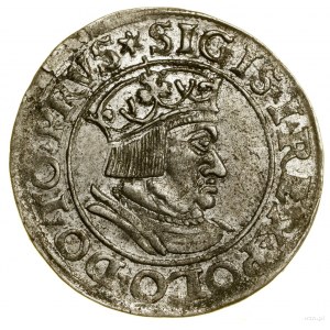 Pfennig, 1535, Danzig; Anfangszeichen: auf der Vorderseite Sterne....