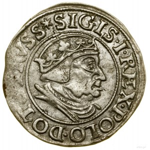 Grosz, 1538, Gdańsk; końcówka legendy awersu PRVSS; Bia...