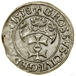 Grosz, 1538, Gdansk; tip of obverse legend PRVSS; Bia...