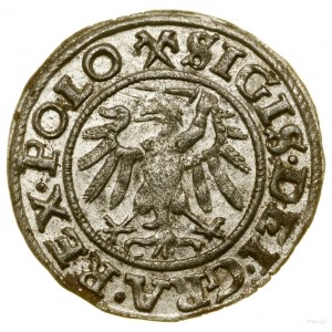 Sheląg, 1539, Gdansk; date written in small numbers, in l...