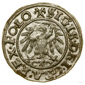 Sheląg, 1539, Gdaňsk; datum psáno malými číslicemi, v l...
