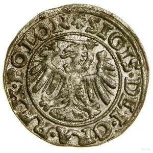 Sheląg, 1546, Gdansk; initial marks: on obverse star....