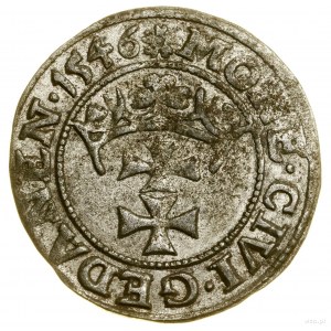 Sheląg, 1546, Gdańsk; in the obverse legend of POLONI; Białk....