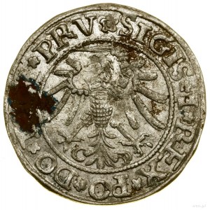 Pfennig, 1535, Elbląg; auf der Vorderseite Ende der PRV-Legende; B...