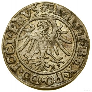 Grosz, 1535, Elbląg; w legendzie awersu PRVS; Białk.-Sz...