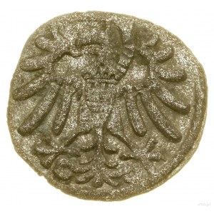 Denar, 1539, Elbląg; Białk.-Szw. 244 (R5), CNCE 77 (R6)...