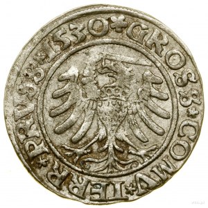 Pfennig, 1530, Torun; seltene Variante mit Schwert auf der linken Seite...