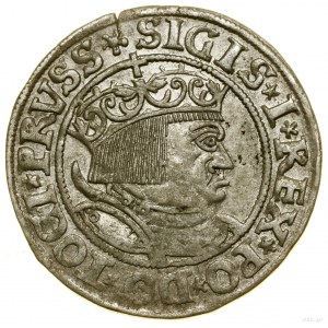 Penny, 1532, Torun; endings of legends PRVSS / PRVSS; White...