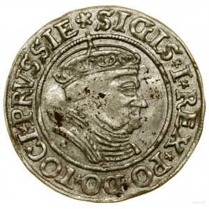 Grosz, 1535, Toruń; końcówki legend PRVSSIE / PRVSSIE; ...