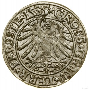 Penny, 1535, Toruň; koncovky legiend PRVSSIE / PRVSSIE; ...
